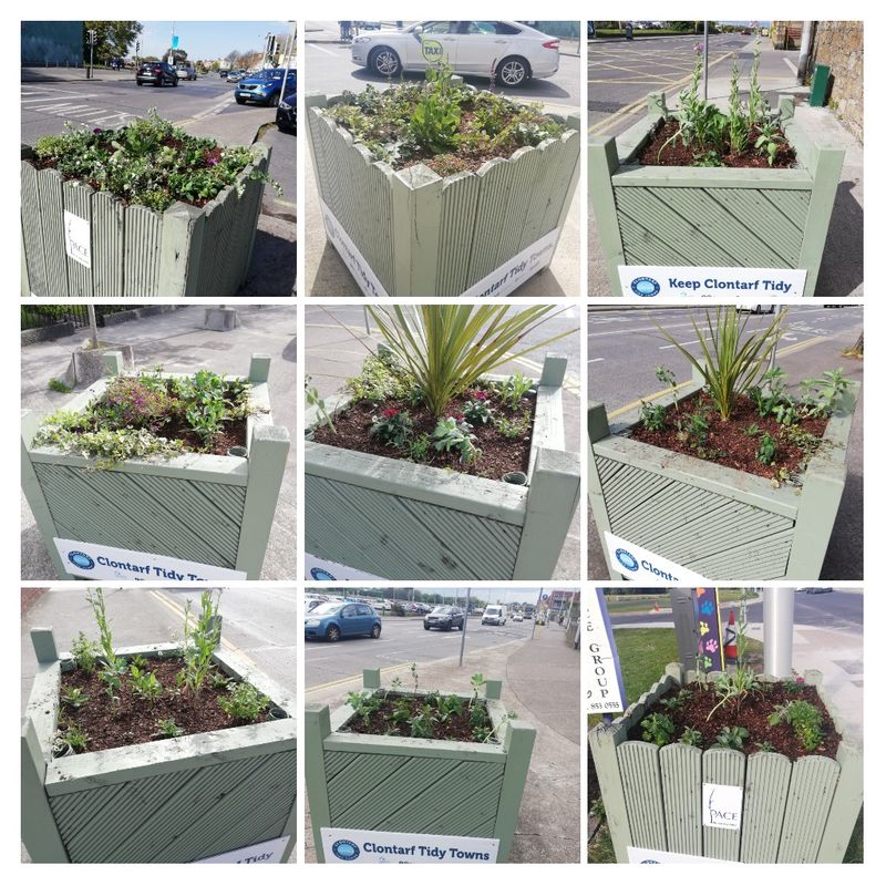 Gardening Volunteers Needed!